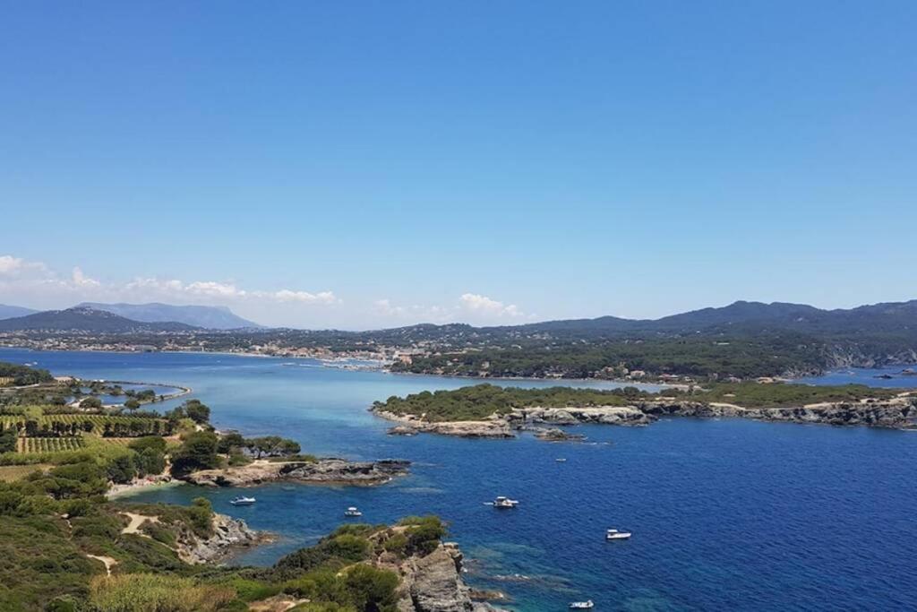 Apartmán Magnifique Rez De Jardin & Piscine & Bord De Mer Six-Fours-les-Plages Exteriér fotografie